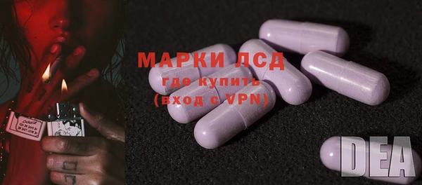 индика Верхний Тагил