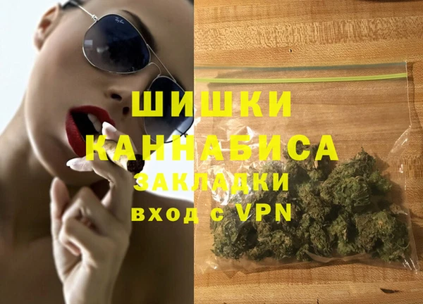 индика Верхний Тагил