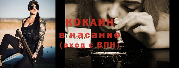 индика Верхний Тагил