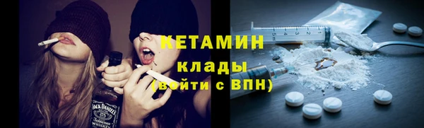 индика Верхний Тагил
