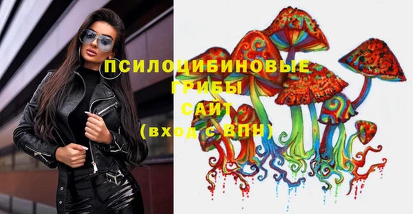 гидропоника Верея