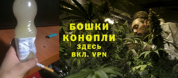индика Верхний Тагил