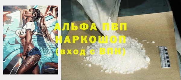 индика Верхний Тагил