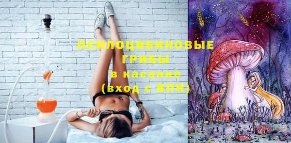 PSILOCYBIN Верхнеуральск