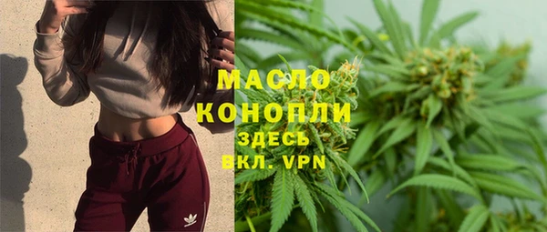 индика Верхний Тагил