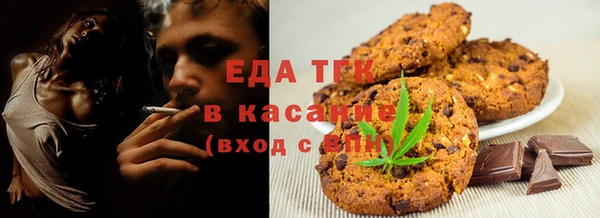 индика Верхний Тагил