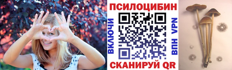 Псилоцибиновые грибы ЛСД  MEGA вход  Шиханы 